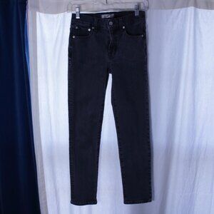 Madewell The Mid-Rise Perfect Vintage Jean in Lunar Wash Size 23